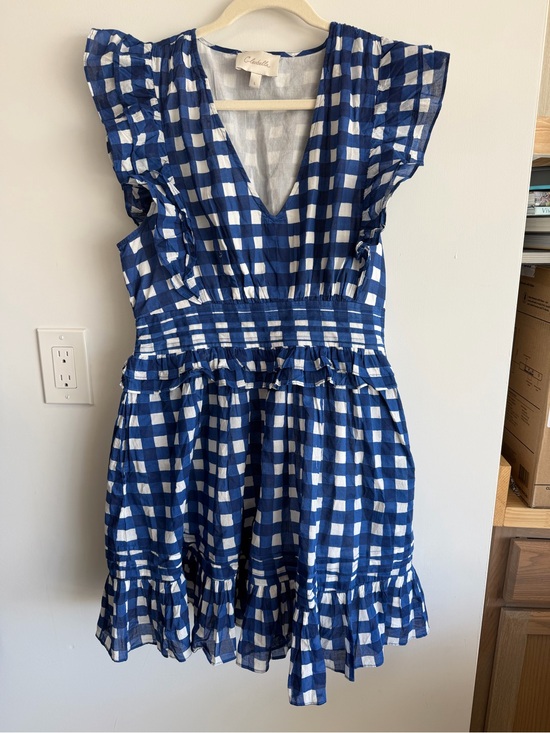 Cleobella Dresses & Skirts - Cleobella Blue and White Gingham Mini Dress
